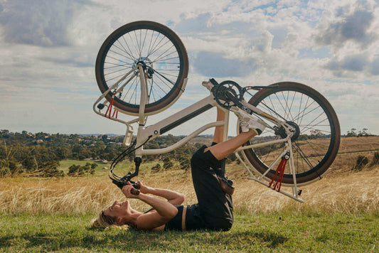 Lekker Bikes Enviolo Gearing GT
