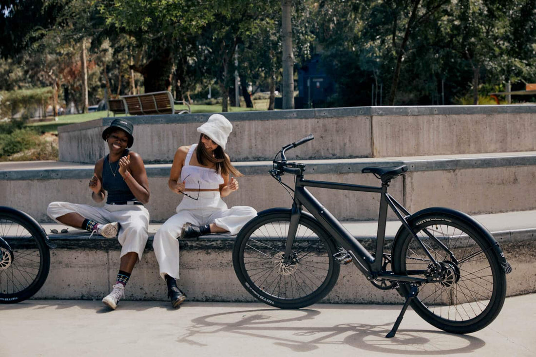 Lekker Bikes Amsterdam plus ebike