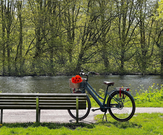 LEKKER eBike in Rembrandt park