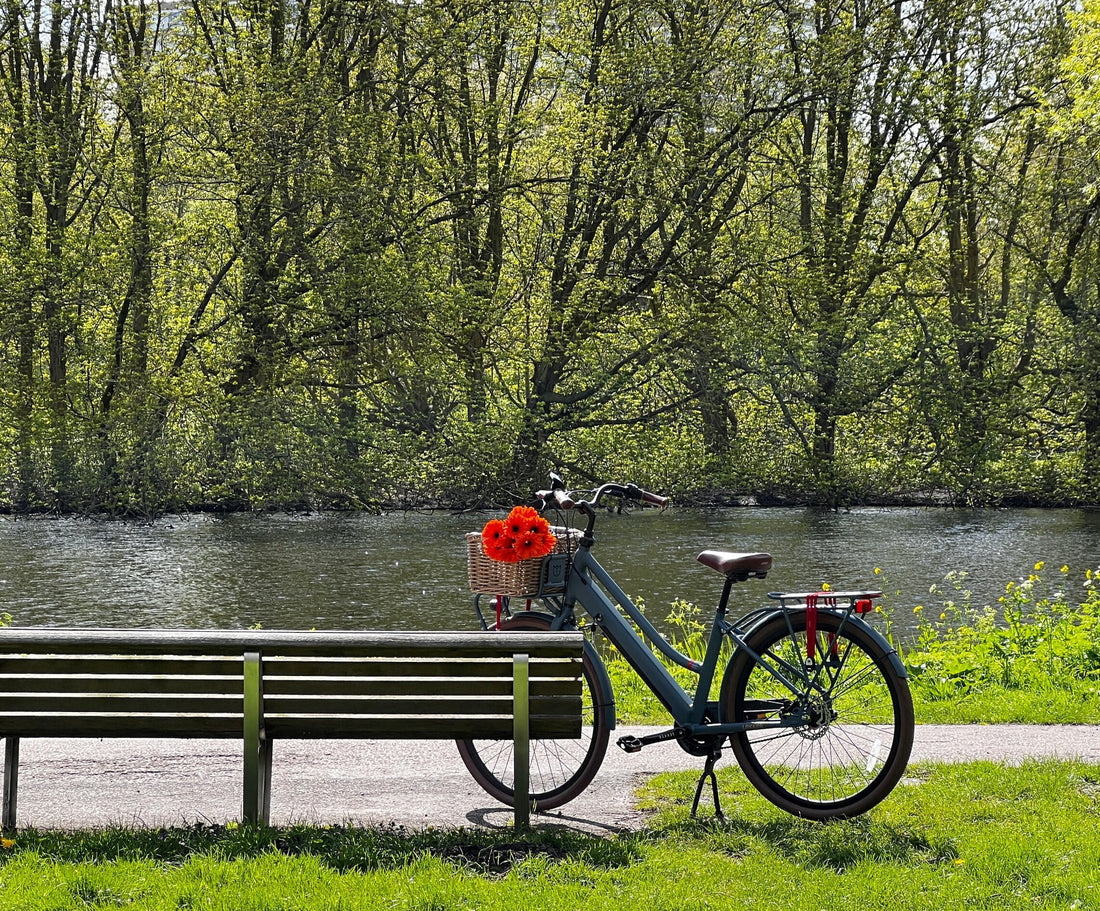 LEKKER eBike in Rembrandt park