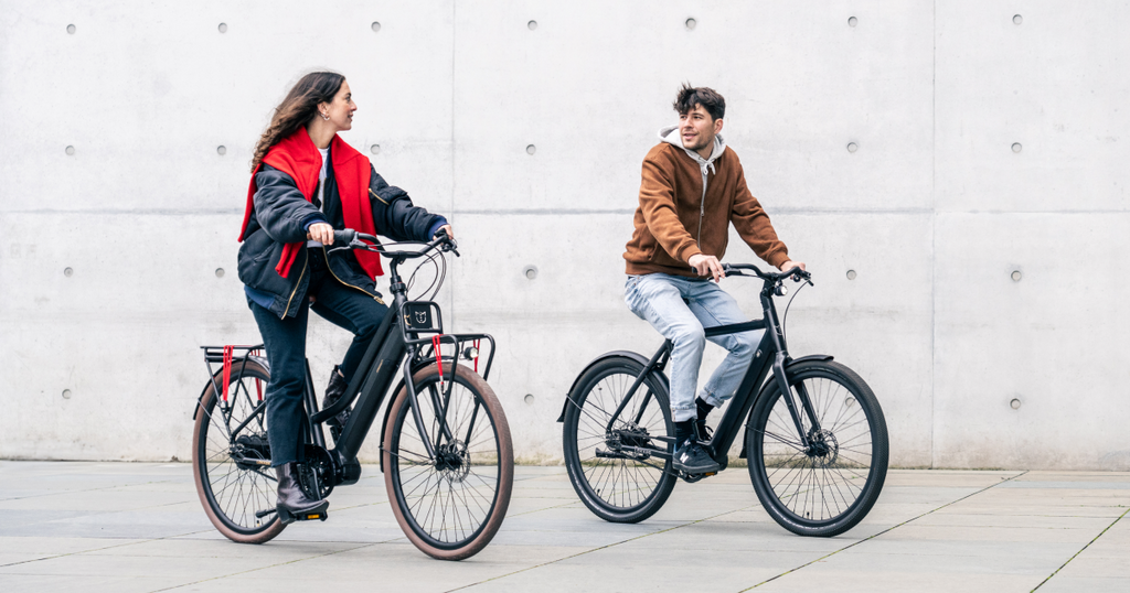 LEKKER Bikes e-bike battery health tips for winter